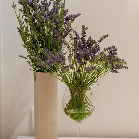 Luxury Beachfront 2 With Private Pool, Jacuzzi And Gym At The On Ciovo - Okrug Gornji * Τρογκίρ