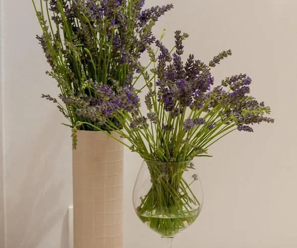 Luxury Beachfront Villa Trogir 2 With Indoor & Outdoor Pools * Trogir