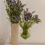 Luxury Beachfront Villa Trogir 2 with private pool, jacuzzi&gym at the beach on Ciovo - Okrug Gornji * Trogir